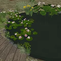 Natural Garden Landscape With Pond Water Lilies Wooden Walkway And Green Plants