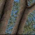 Olive Tree In Urban Plaza With Clear Trunk And Lush Green Foliage