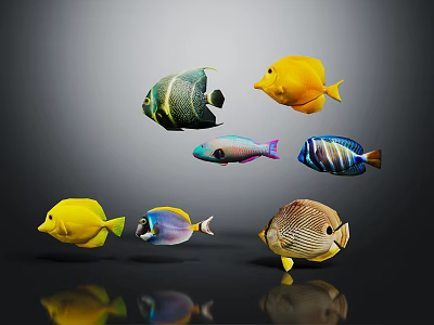 Vibrant Colorful Fish With Various Colors Shapes On Black Background And Reflections 3d model