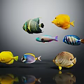 Vibrant Colorful Fish With Various Colors Shapes On Black Background And Reflections