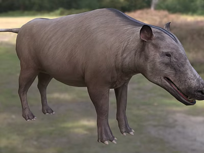 Large Reptile With Scaly Skin And Long Tail Crawling On Ground In Natural Habitat 3d model