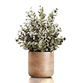 Bonsai Potted Plant With Green Leaves And Small White Flowers In Wooden Textured Pot
