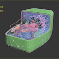 Biological Organ and Hair Structure 3D Model with Microscopic Components Illustration
