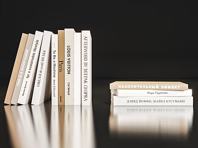 Elegant Books And Magazines Display With White Beige Covers And Reflective Surface 3d model
