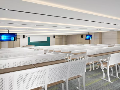 Modern School Lecture Hall With White Chairs And Screens 3d model