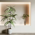 Interior Plant Decor With Backlit Rectangular Frame Large Fern And Small Greenery 3d model
