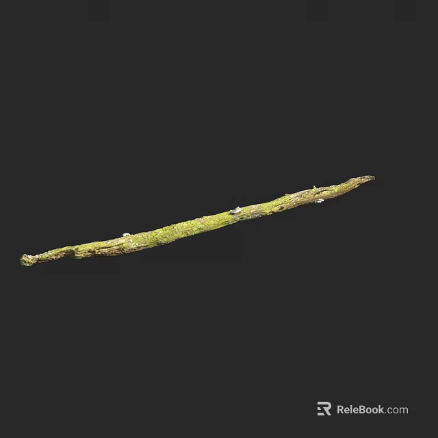 Tall Arbor Branch With Lush Green Moss In Natural Forest Environment 3d model 