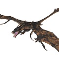 Flying Animals Western Dragon Tyrannosaurus 3d model