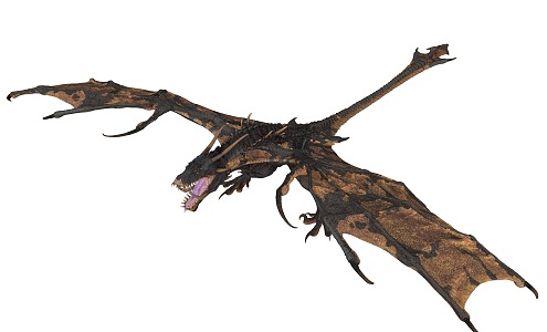 Flying Animals Western Dragon Tyrannosaurus 3d model