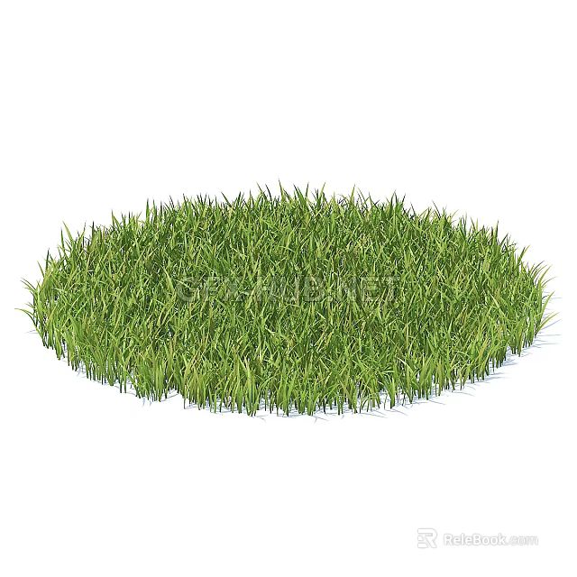 Lush Green Circular Grass Patch With Fresh Blades On White Background 3d model 
