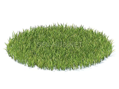 Lush Green Circular Grass Patch With Fresh Blades On White Background 3d model