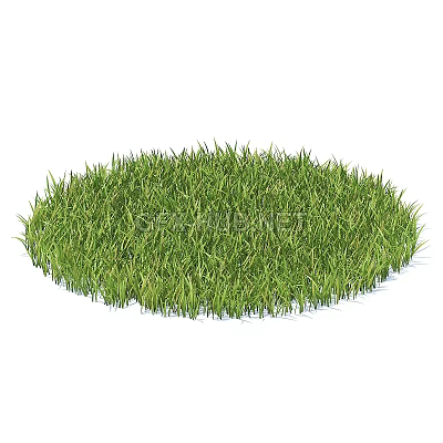 Modern lawn grass flowers 3d model Modern lawn grass flowers 3d model