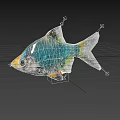 Vibrant Aquatic Fish With Blue Green Scales And Yellow Head Accent