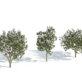Modern Tree Deep Mountain Smile 3d model