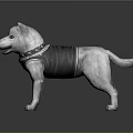 3D Model Dog in Standing Pose Wearing Black Vest and Decorative Collar