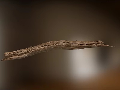 Natural Dry Arbor Branch Showcasing Detailed Wood Grain Texture Against Blurred Background 3d model