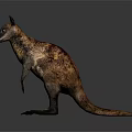 Realistic Reptile Standing With Brown Yellow Scales On Gray Background