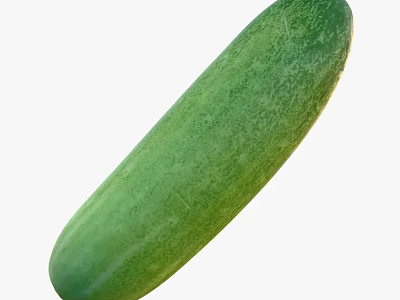 Fresh Green Organic Cucumber Healthy Raw Vegetable Perfect For Salads And Snacks 3d model