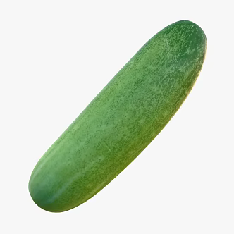 Cucumber 3d model