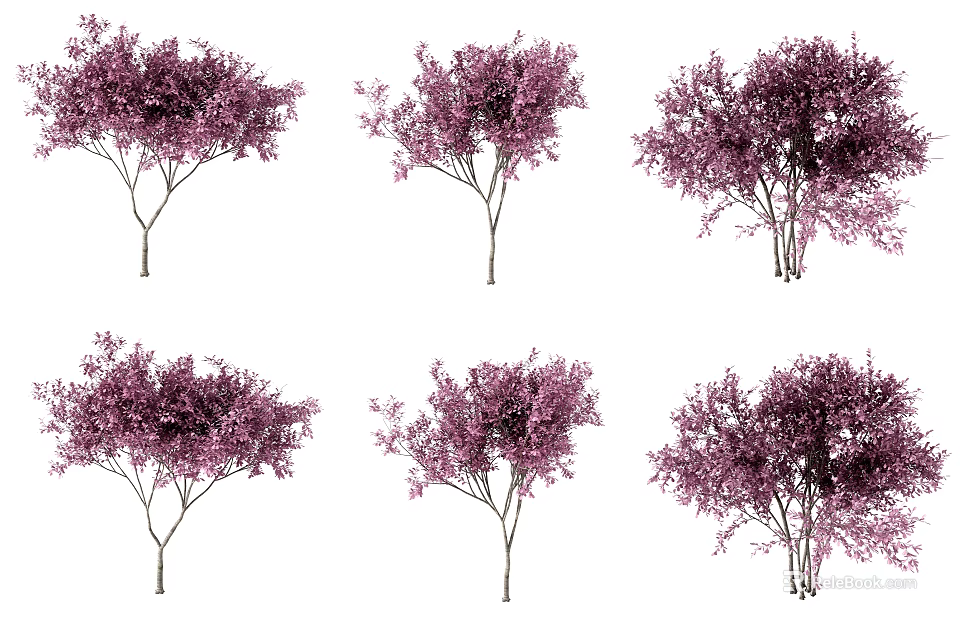 Decorative Purple Foliage Trees in Various Shapes for Garden and Landscape Design Projects 3d model 