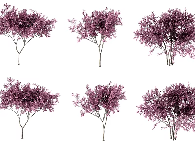 Decorative Purple Foliage Trees in Various Shapes for Garden and Landscape Design Projects 3d model