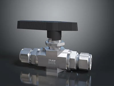 Polished Stainless Steel Ball Valve With Black Handle And Connection Fittings 3d model