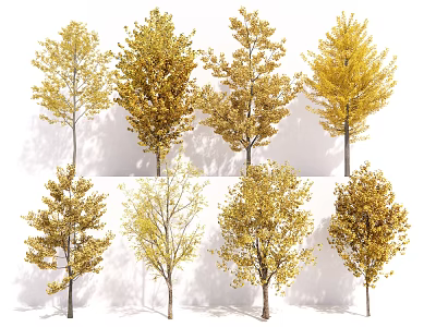 Beautiful Autumn Trees With Yellow Leaves And Natural Trunks In Outdoor Landscape 3d model