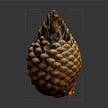 Close Up View Of Natural Detailed Pine Cone With Textured Brown Surface