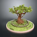 Bonsai Tree With Brown Trunk Green Leaves And Grass Around Stone Wall On Circular Base