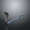 Cobra Snake Rearing Up With Slithering Body On Dark Background With Reflection 3d model