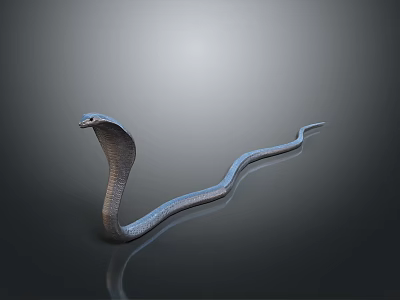 modern snake cobra venomous snake python 3d model modern snake cobra venomous snake python 3d model