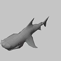 Mythical Fierce Shark With Sharp Teeth And Menacing Grayish White Appearance