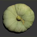 Organic Fresh Green Pumpkin With Smooth Surface On Dark Reflective Background