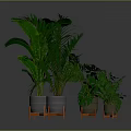 Various Green Plants in Metal Pots with Orange Stands on Grey Background