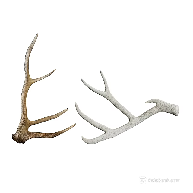 Set of Natural Brown and White Antlers for Decorative Display Purposes 3d model 