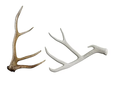 Set of Natural Brown and White Antlers for Decorative Display Purposes 3d model