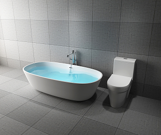 Modern Bathtub Toilet Combo 3d model