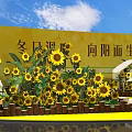 Warm Winter Themed Event Stage With Sunflowers Yellow Backdrop And Decorations 3d model