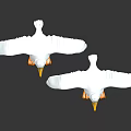 White Seagulls With Orange Feet Spread Wings Cartoon 3D Models On Dark Background With Reflections