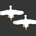 Modern bird seagull 3d model