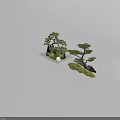 Bonsai Pine Trees in Natural Landscape With Rocks Moss and Pebbles