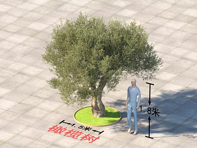 Olive Tree Garden Landscape Design With Stone Pavement And 1.8m Height 1.5m Diameter 3d model