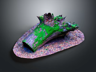 Natural Wood Log with Green Moss on Colorful Textured Stone Base 3d model