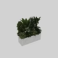 Bonsai Potted Plants With Various Green Foliage In Gray Rectangular Concrete Planter 3d model
