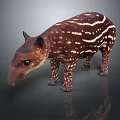 Brown Tapir With White Stripes Long Snout And Small Ears On Dark Background
