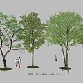 Decorative Lights Illuminate Night Scene Tree Combination with Walking People