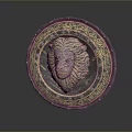 Medieval Shield Ancient Shield Defensive Weapon Ancient Shield Iron Shield Protective Shield Wooden Shield 3d model