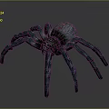 Detailed Blue And Red Spider With Long Legs 3D Sculptural Model On Gray Background