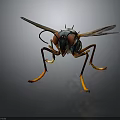 3D Rendered Fly Close Up Featuring Large Compound Eyes Transparent Wings And Orange Legs