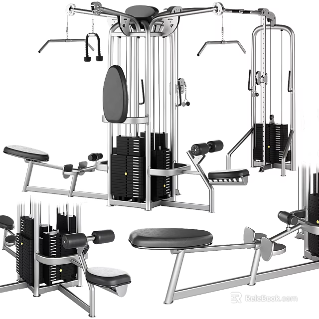 Professional Gym Sports Equipment Collection With Training Machines Weight Benches And Dumbbell Racks 3d model 
